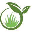 Mesa Landscaping Service