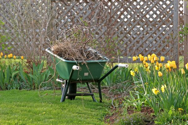 Flower Bed Cleanup Service in Mesa