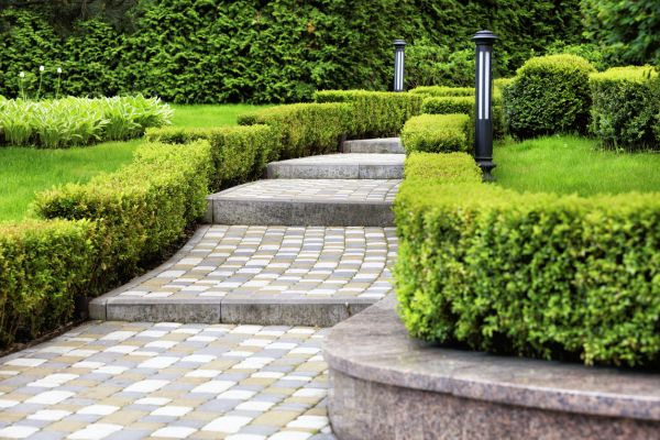 Backyard Remodeling in Mesa
