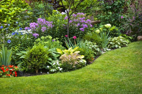 Flower Bed Service in Mesa