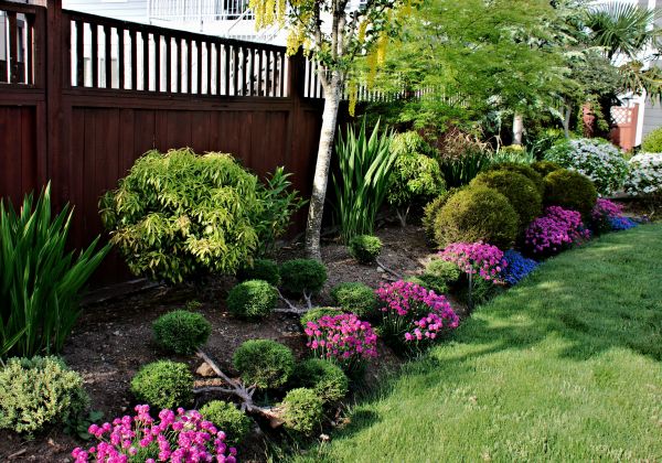 Garden Care Service in Mesa