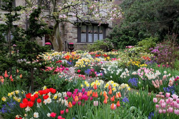 Garden Maintenance Service in Mesa