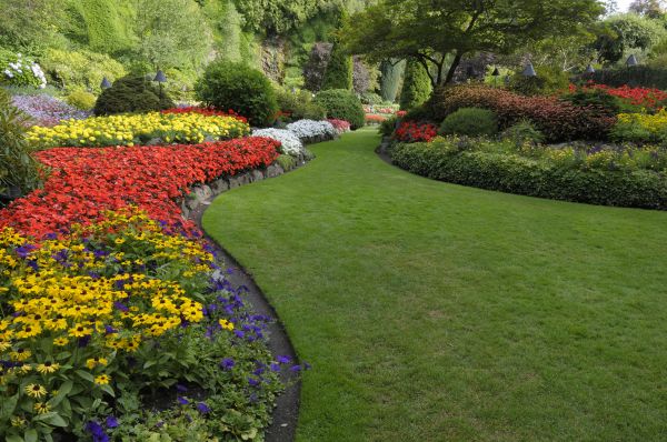 Landscaping Maintenance in Mesa