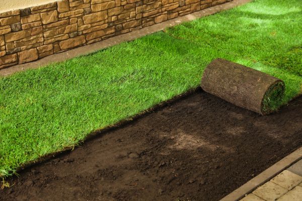 Sod Delivery Service