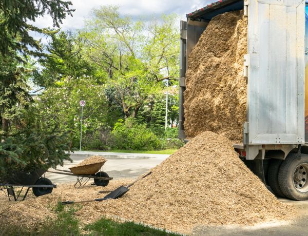 Wood Chips Delivery in Mesa