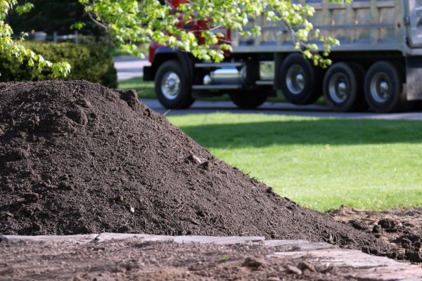 Yard Dirt Delivery in Mesa
