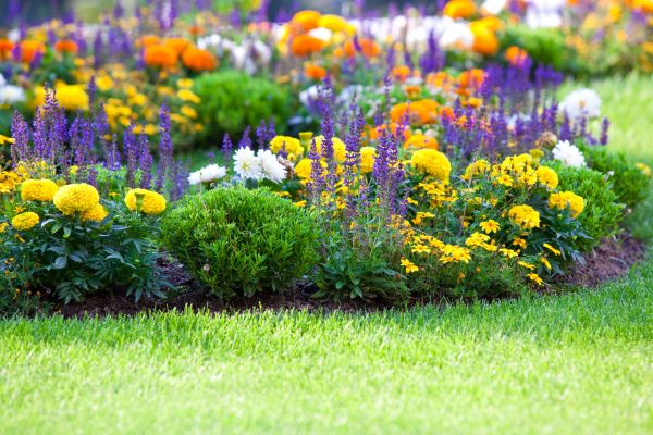 Garden Installation in Mesa