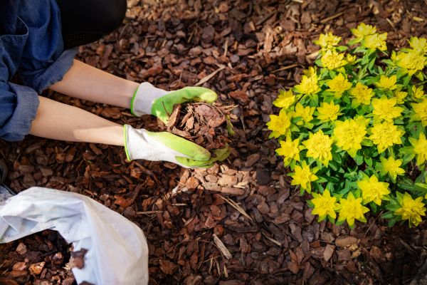 Garden Mulching in Mesa