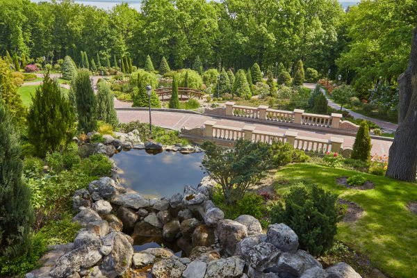 Landscape Architecture Service in Mesa