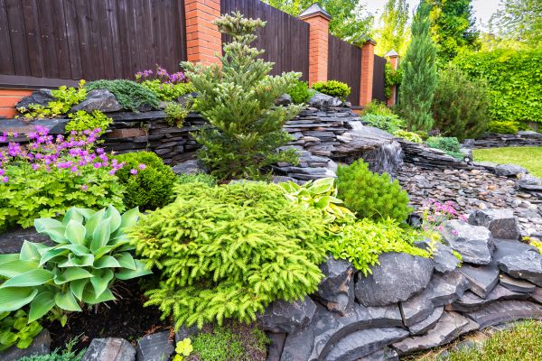 Landscape Remodeling in Mesa