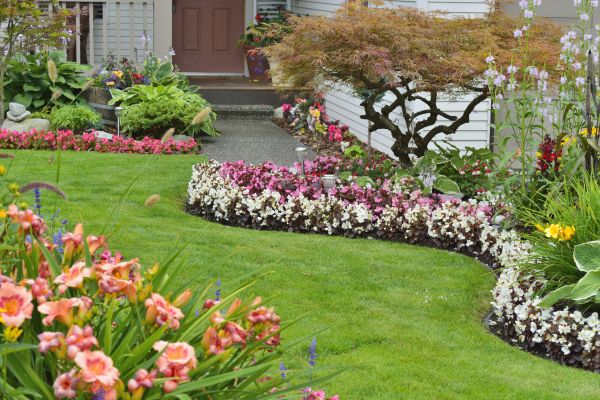 Perennial Landscaping in Mesa