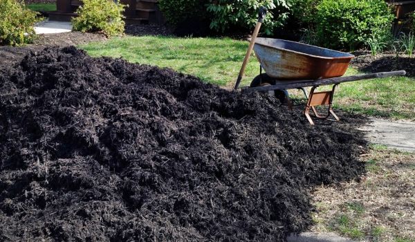 Black Mulch Installation in Mesa