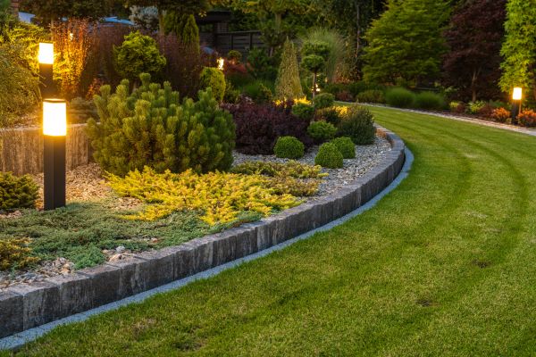 Garden Repair Service in Mesa