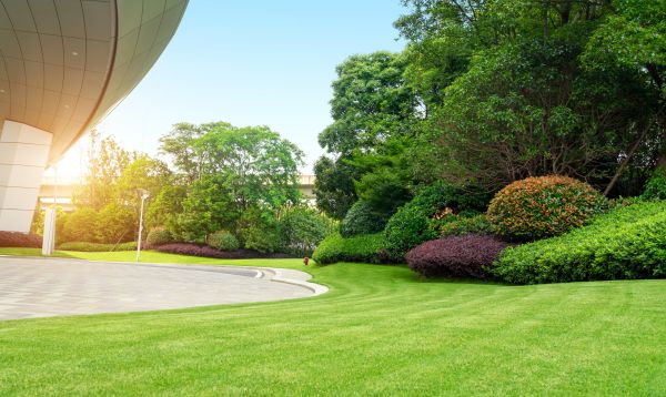 Business Landscape Design in Mesa