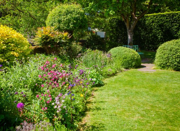 Yard Landscaping Service in Mesa