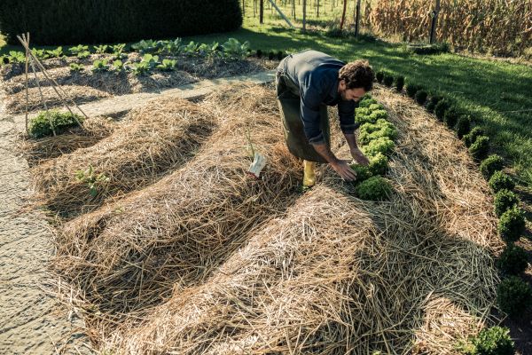 Straw Mulching Service in Mesa