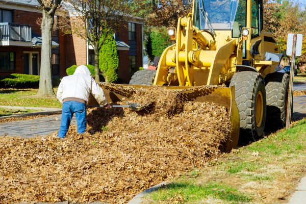 Mulch Hauling in Mesa
