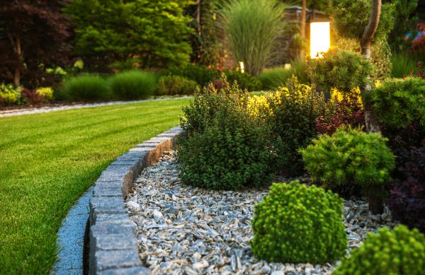 Landscaping Service in Mesa