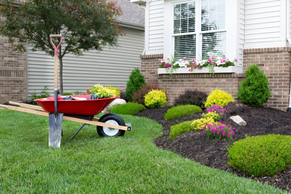 Tree And Shrub Planting in Mesa