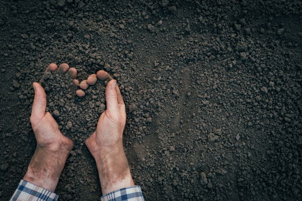 Soil Installation in Mesa
