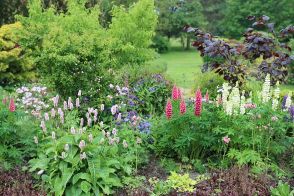 Flower Bed Planting in Mesa