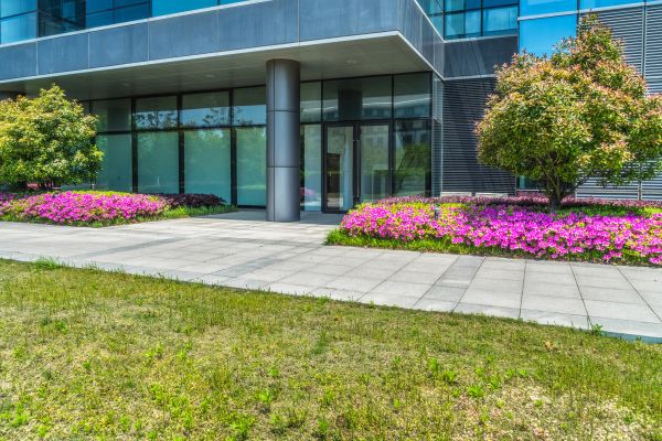 Commercial Gardening in Mesa