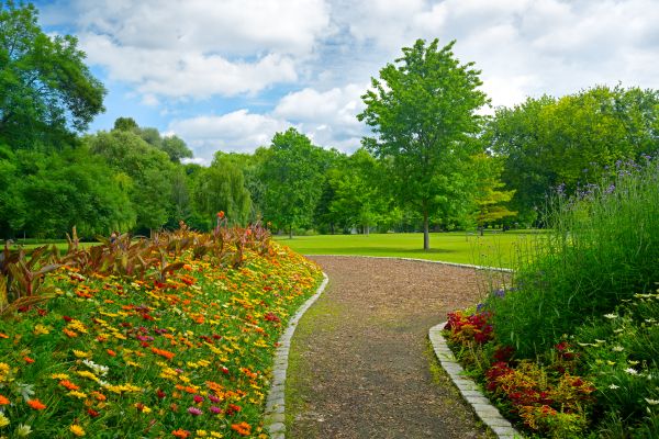 Park Landscaping in Mesa