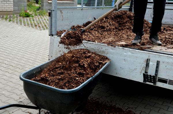 Cypress Mulch Delivery in Mesa