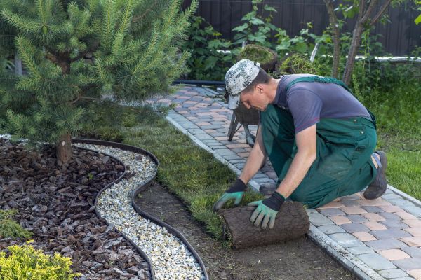 Landscaping Modification in Mesa