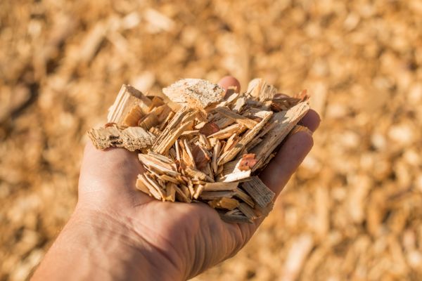 Wood Chips Spreading in Mesa