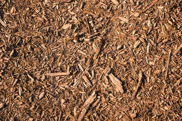 Wood Chips Removal in Mesa