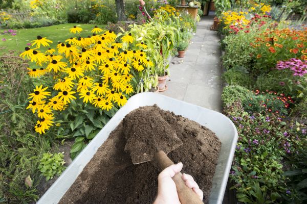 Topsoil Replacement in Mesa