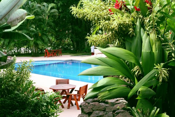 Pool Area Landscaping in Mesa