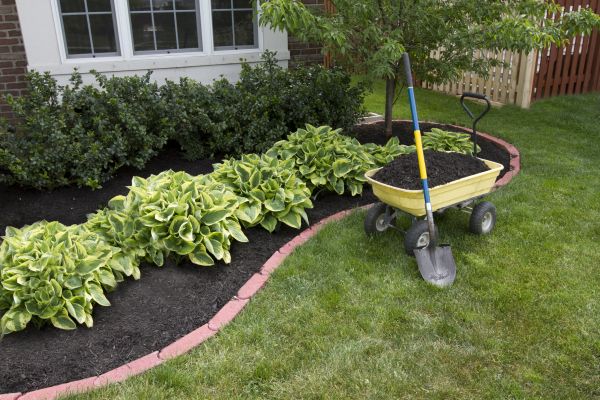 Landscape Mulching in Mesa
