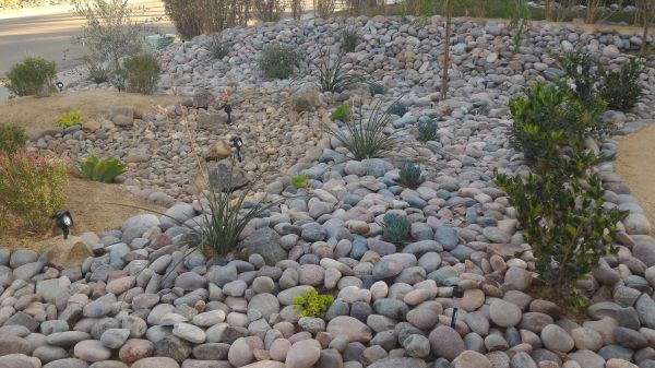 Yard Xeriscaping in Mesa