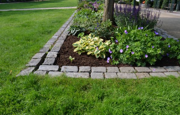 Flower Bed Mulching in Mesa