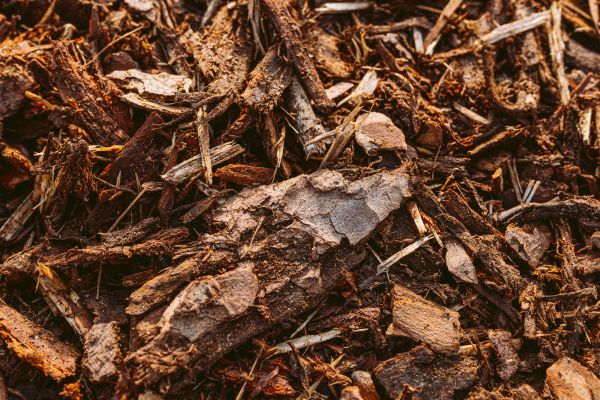 Bark Mulch Delivery in Mesa