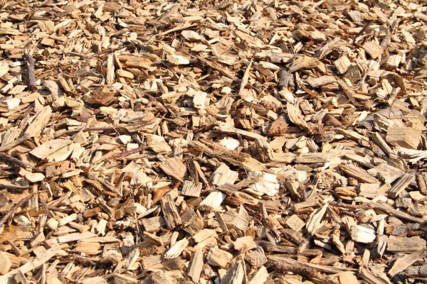 Wood Mulch Delivery in Mesa