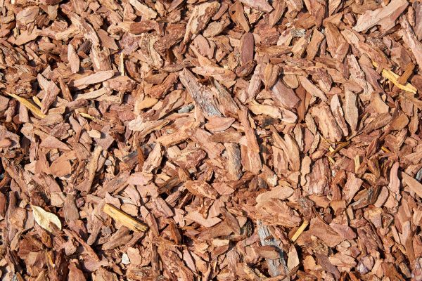 Pine Mulch Spreading in Mesa