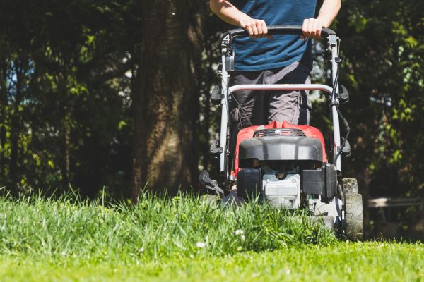 Garden Trimming Service in Mesa