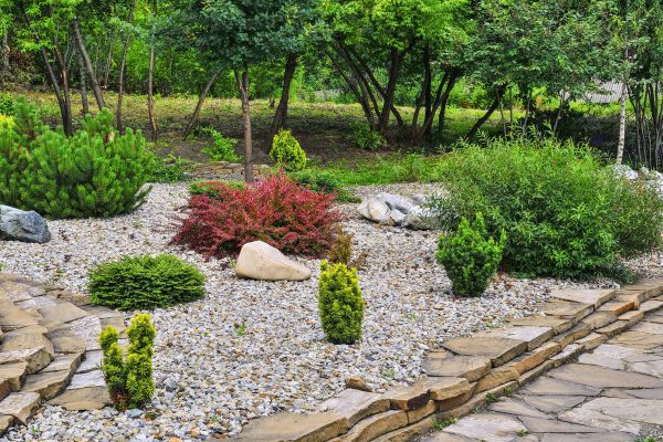 Hardscape Landscaping in Mesa