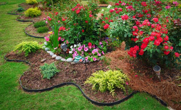 Floral Landscaping in Mesa