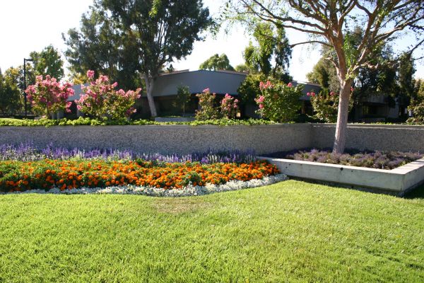 Commercial Landscape Service in Mesa