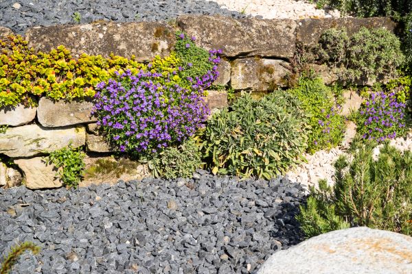 Landscaping Rocks Installation in Mesa