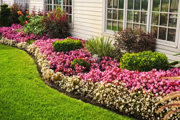 Garden Landscape Design in Mesa