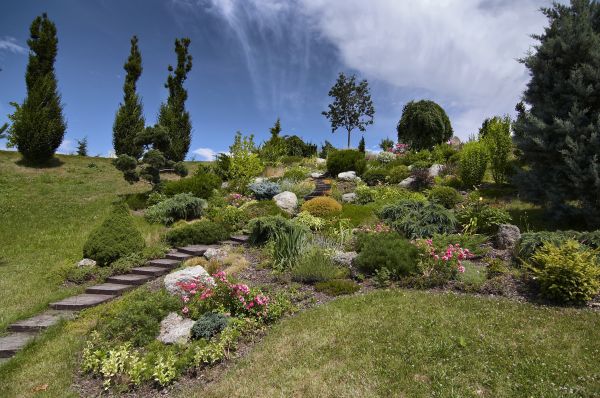 Steep Terrain Landscaping in Mesa