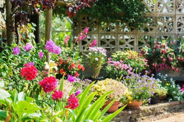 Spring Garden Maintenance in Mesa