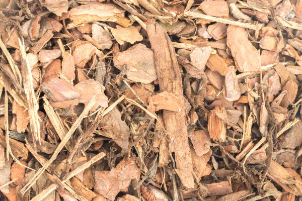 Bark Mulch Installation in Mesa