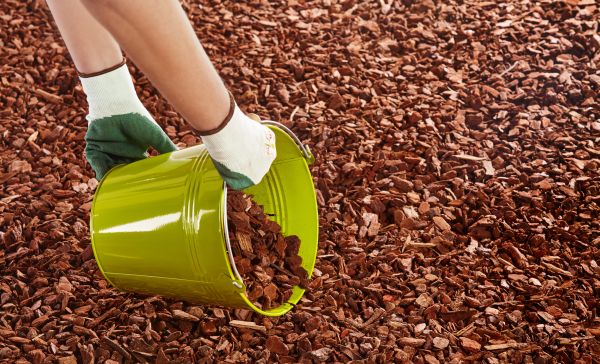 Wood Chip Landscaping in Mesa