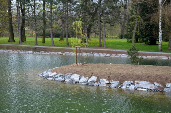 Pond Landscaping Service in Mesa